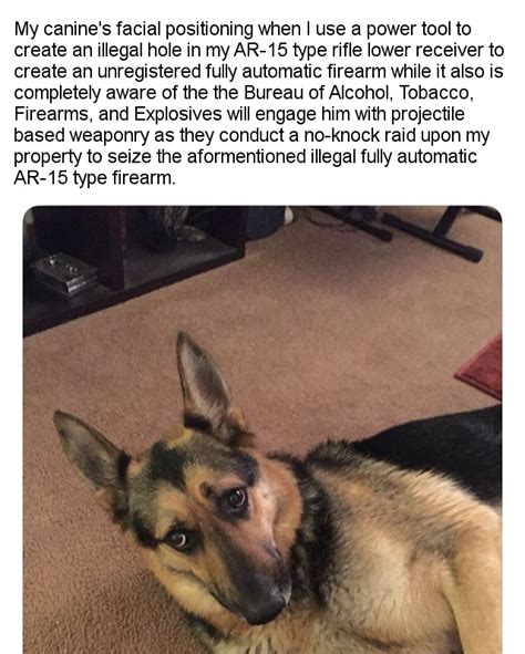 Where Did The Atf Shooting Dogs Come From